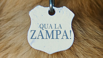 Qua la zampa! (2017)