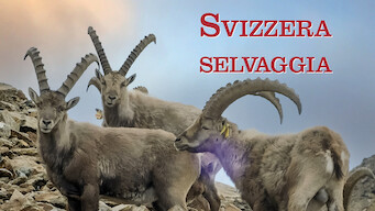 Svizzera selvaggia (2017)