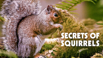 Secrets of Squirrels (2017)