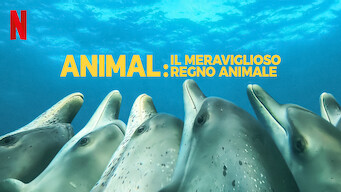 Animal: il meraviglioso regno animale (2022)