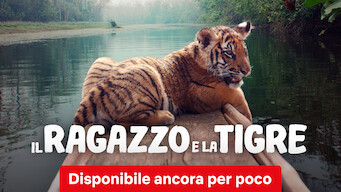 Il Ragazzo E La Tigre (2022)