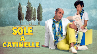 Sole a catinelle (2013)