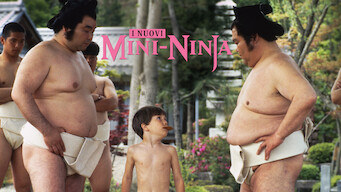 I nuovi mini-ninja (1994)