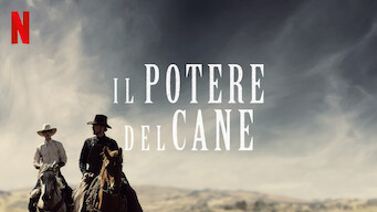 Il potere del cane (2021)