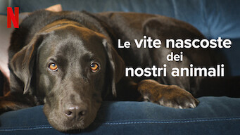 Le vite nascoste dei nostri animali (2022)