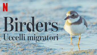 Birders - Uccelli migratori (2019)