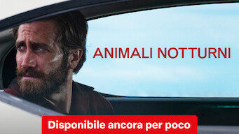 Animali notturni (2016)