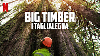 Big Timber - I taglialegna (2021)