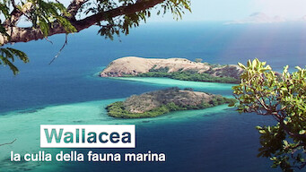 Wallacea: la culla della fauna marina (2007)