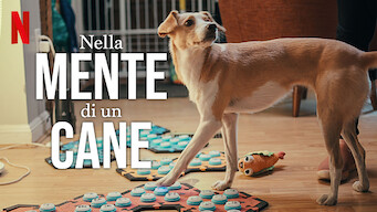 Nella mente di un cane (2024)