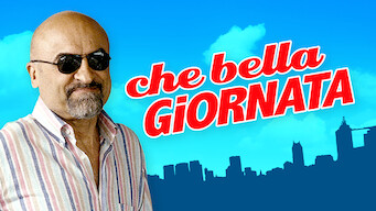 Che bella giornata (2011)